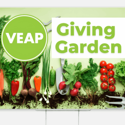 Image for choice number 1